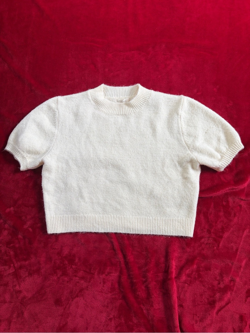 Colored Et Clet Short Sleeve Cropped Knit Sweater: Size Small